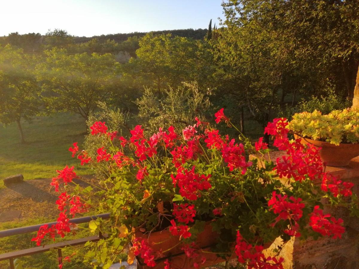 Agriturismo Sommassa Greve in Chianti Kültér fotó